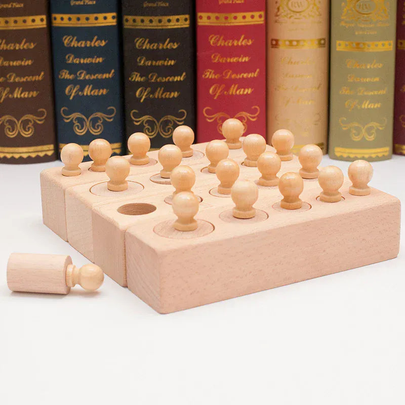 Espace éveil  NB285C1 Montessori Knobbed Cylinder Socket Development Sensory Toys Hand-eye Coordination for Kids 3 Years Old and Up Gifts for Children Image