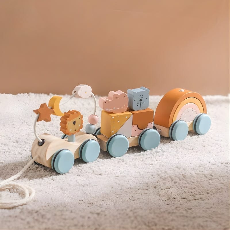 Ma boutique Train Montessori Jouets bébé - Les Trains